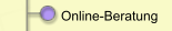 Online-Beratung